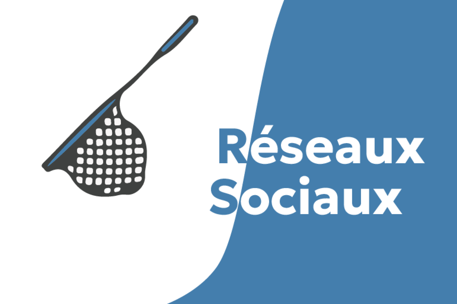 res_sociaux